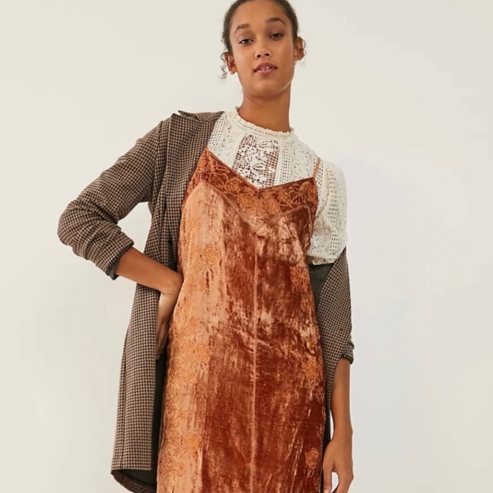 Anthropologie Lucie Embroidered Velvet Slip Dress